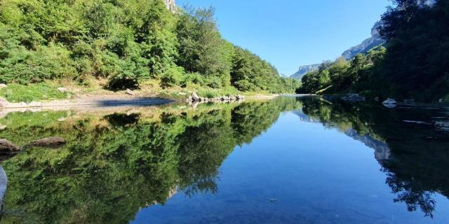 Reflections of the trees lining the Tarn