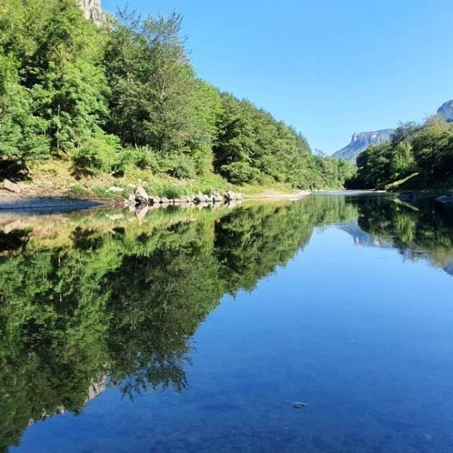 Reflections of the trees lining the Tarn