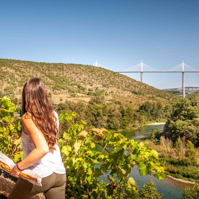 Peyre03alexhumbert Min