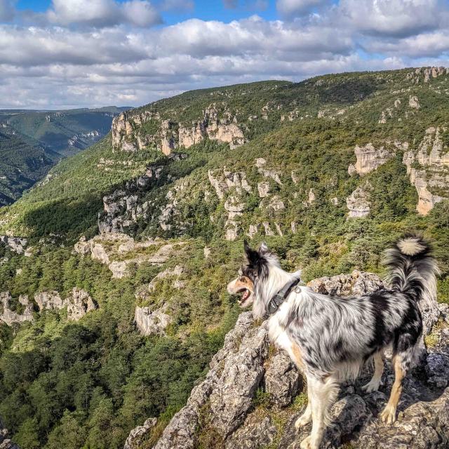 Tsingy A La Cite De Pierres 001alaetitia Raisin Robert