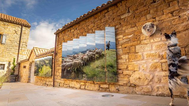 Viaduct Agility course039alexhumbert