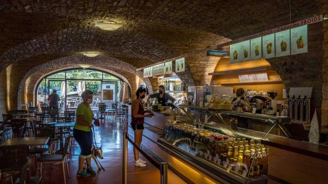 Viaduct Agility course060alexhumbert