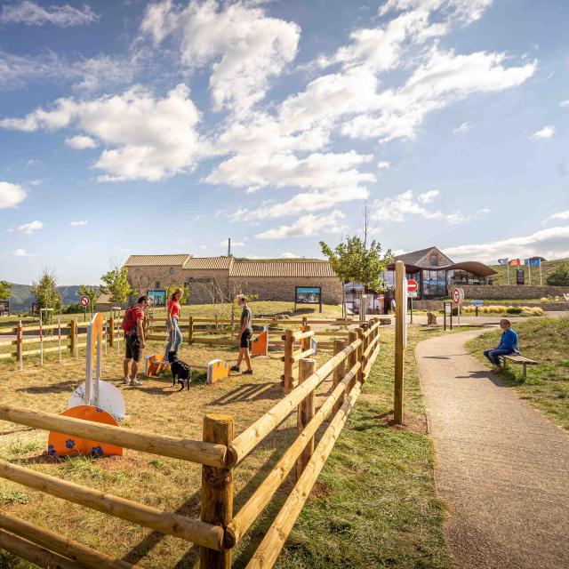 Viaduct Agility course063alexhumbert