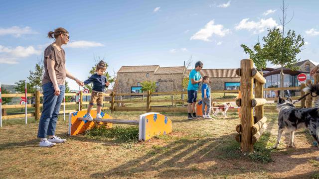 Viaduct Agility course064alexhumbert