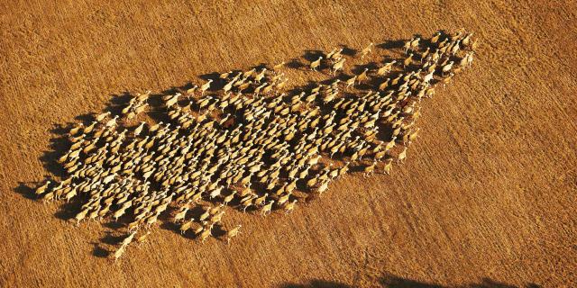 Grandes emplazamientos de viaductos - Roquefort - Couvertoirade