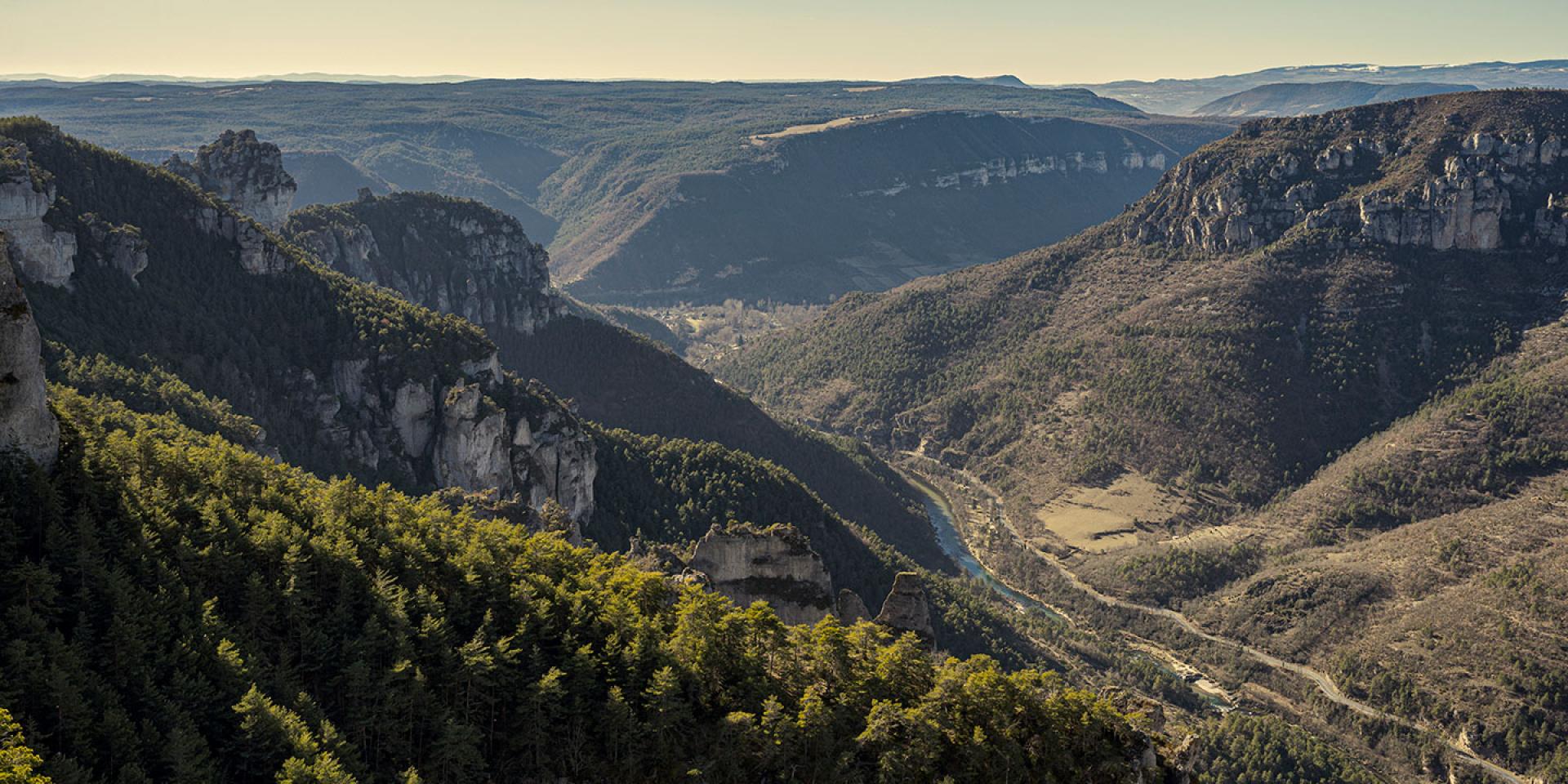 Rive Gauche Gt Web Gr736 Exodammen