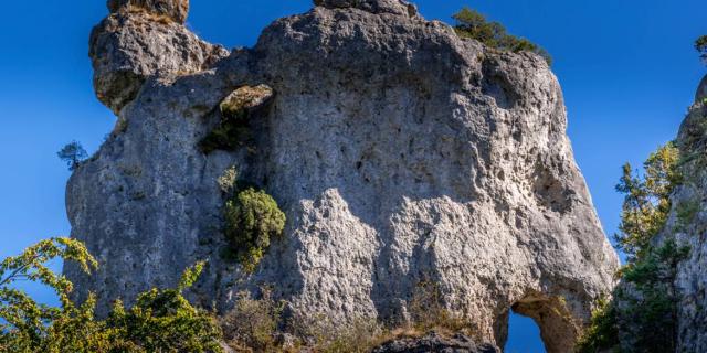 Chaos Elephant003cstylemillau