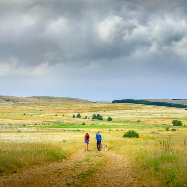 Randonnee Causse Mejean Copyright Remi Flament Pact Gdt Crtloccitanie 0037684 Md Min