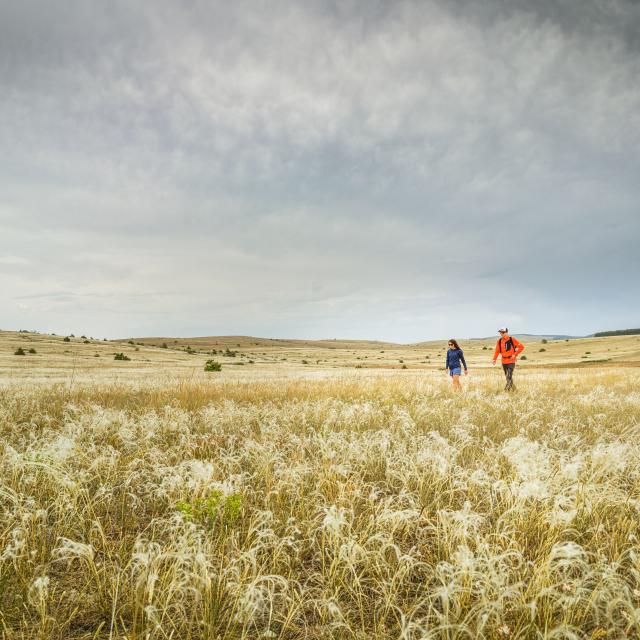 Randonnee Causse Mejean Copyright Remi Flament Pact Gdt Crtloccitanie 0037687 Md Min