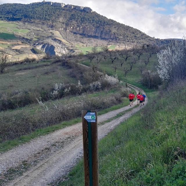 L'équipe belge de Trail à La Cresse