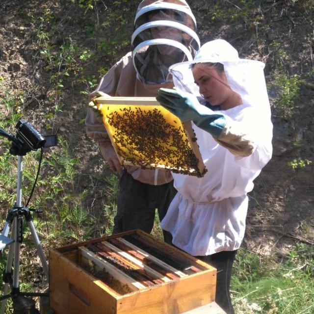 Jornada de encuentro de los productores de miel de Bondia