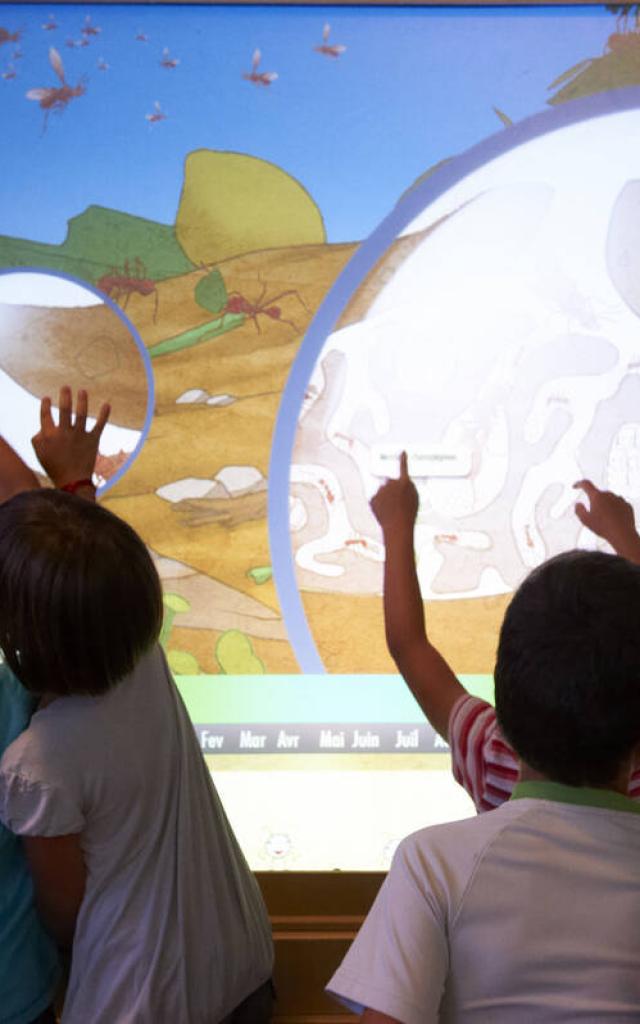 Enfants Et Famille A Micropolis Mur Tactile Interactif Credit Photo Christian Bousquet Rodez