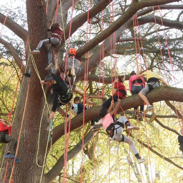 Grimpe Darbre A La Croisee Des Arbres Roquefort