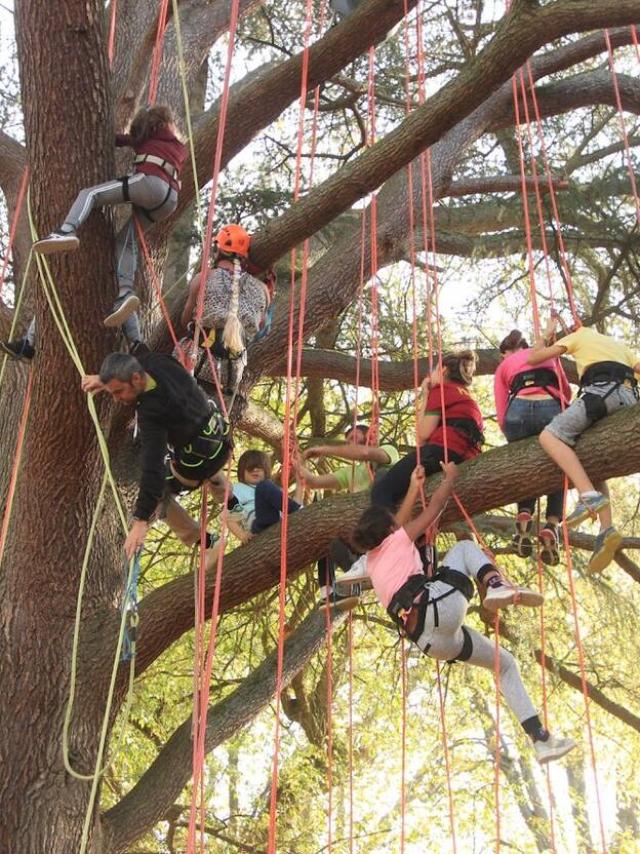 Trepar por los árboles en la travesía del Roquefort