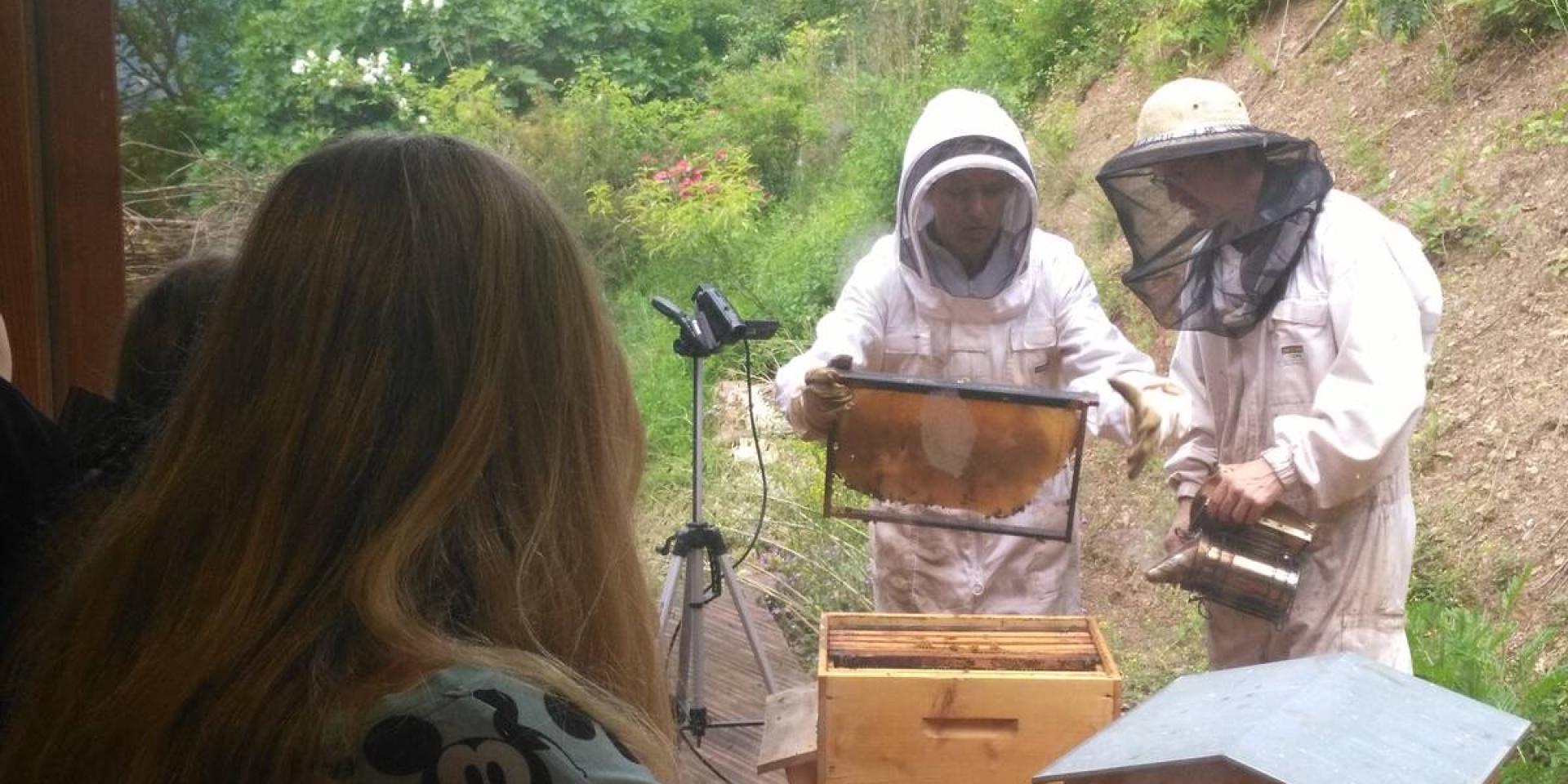 Roquefort Saint Affrique Producteurs L'Arc En Miel