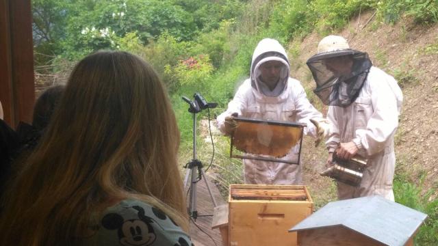 Roquefort Saint Affrique Producteurs L'Arc En Miel