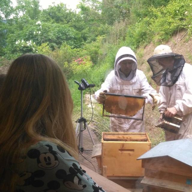 Roquefort Saint Affrique Producteurs L'Arc En Miel