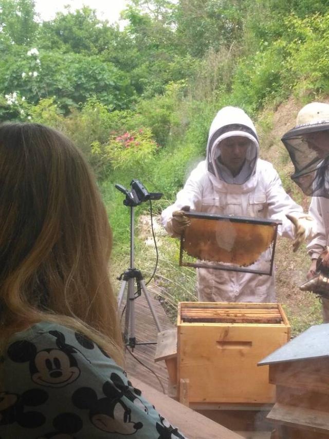 Roquefort Saint Affrique Producteurs L'Arc En Miel