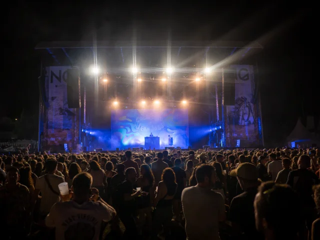 Natural Games Concert Enzo Planes